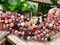 6x8mm Red Mix Electroplated Glass Faceted Rondelle Beads (16" Strand)